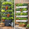 Vertical Garden Systems