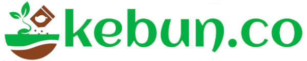 kebun.co